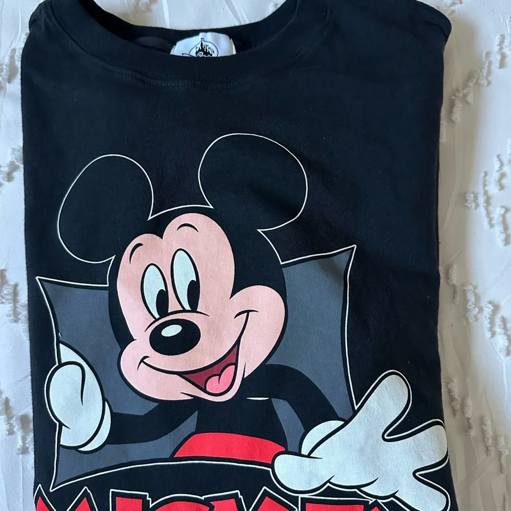 Disney walt world